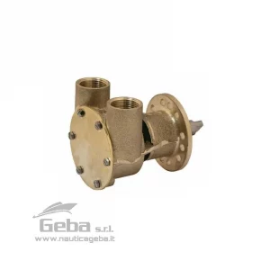 Pompa raffreddamento motore marino JOHNSON F5B-9