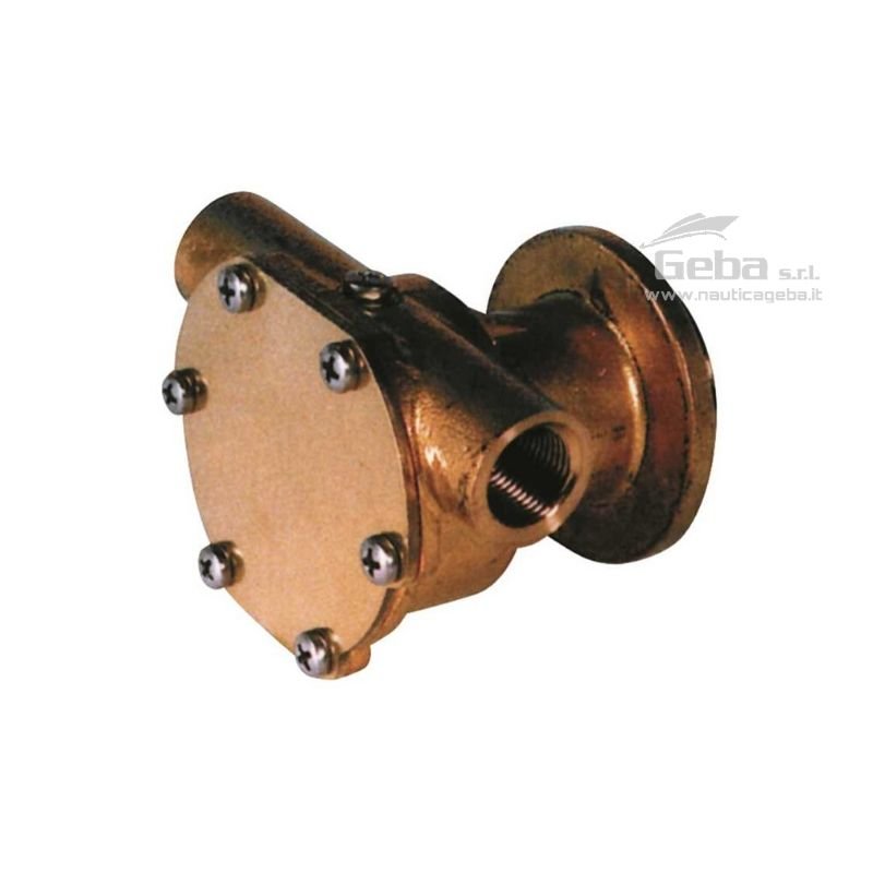 pompa flangiata ancor st 138 raffreddamento motori marini Volvo Penta AQ-BB-MB-MD-2000, Lombardini Ldw e Aifo pompa flangiata ancor st 138 raffreddamento motori marini Volvo Penta AQ-BB-MB-MD-2000 Lombardini Ldw Aifo