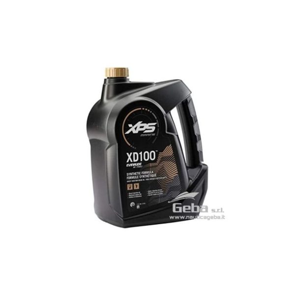 Olio per motore fuoribordo Evinrude XD100