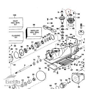 Paraolio Motore Evinrude Johnson