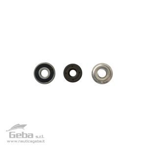 KIT tenuta FKM e cuscinetto ø10 mm
