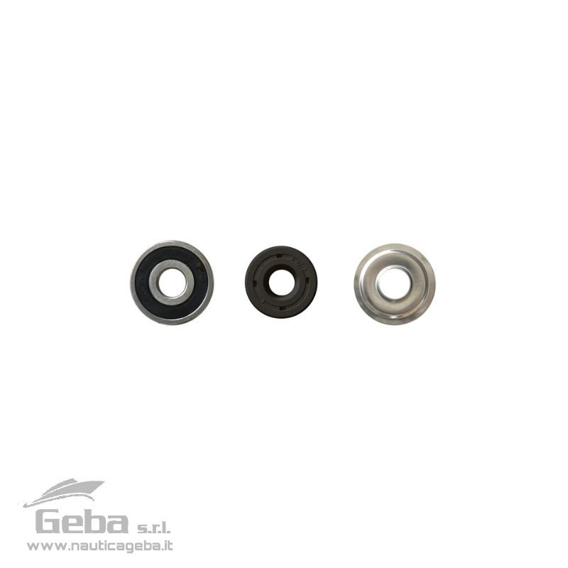 KIT tenuta FKM e cuscinetto ø10 mm KIT tenuta FKM e cuscinetto ø10 mm