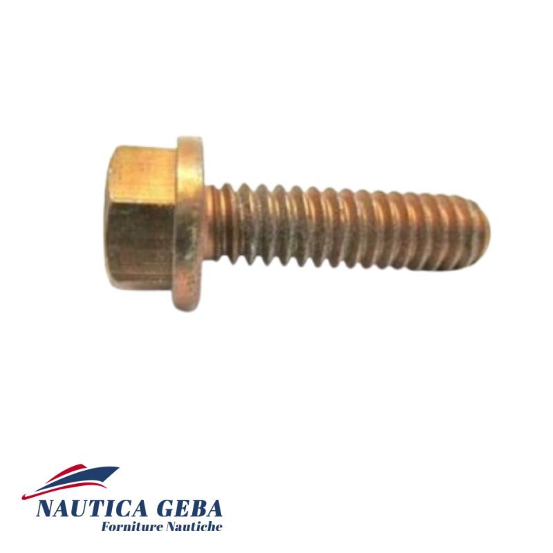 Screw Evinrude Johnson viti passo americano per motore fuoribordo barca - ricambio originale 0306049 Screw Evinrude Johnson viti passo americano per motore fuoribordo barca - ricambio originale 0306049